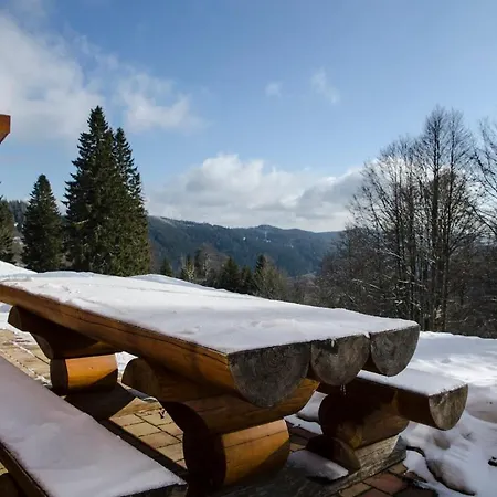 Luxus-ferienhaus Blockhaus Chalet: Alpine Sauna Retreat At Feldberg *