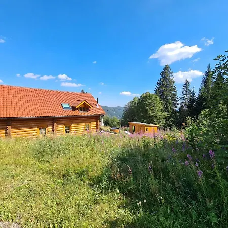 Luxus-ferienhaus Blockhaus Chalet: Alpine Sauna Retreat At Feldberg *